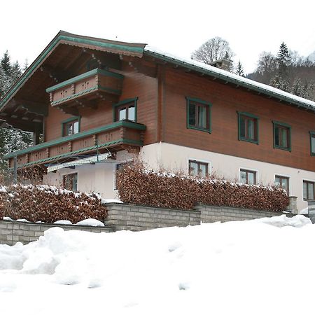 Premium Chalet Andrea Leogang Exterior photo